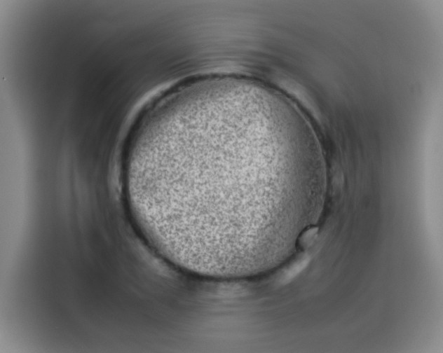 X0000113540979200910021346