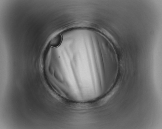 X0000113540981200910021346