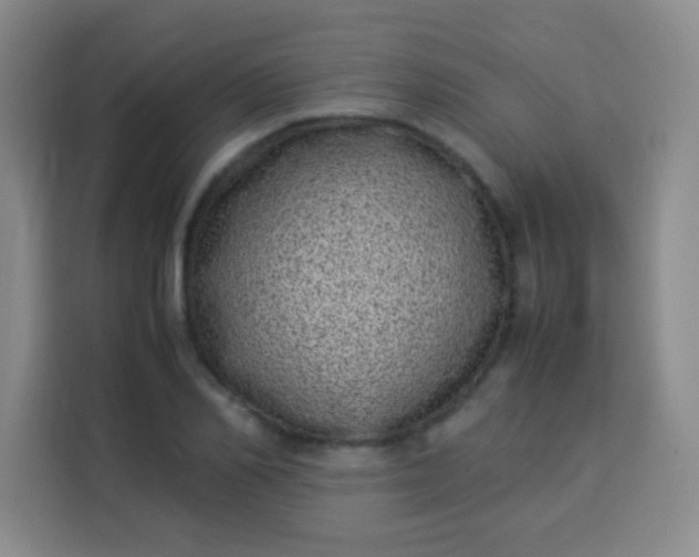 X0000113540982200910021346