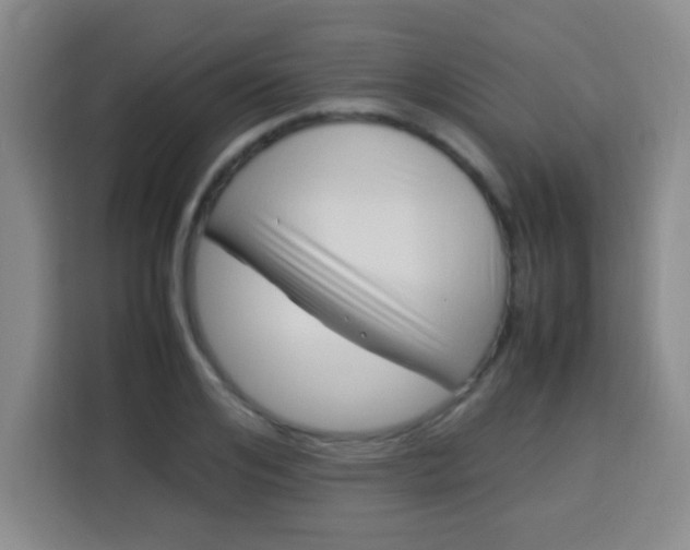 X0000113540984200910021346