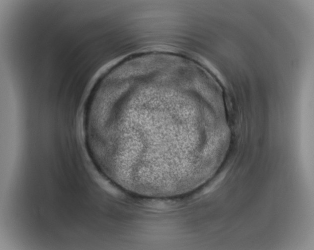 X0000113540987200910021346