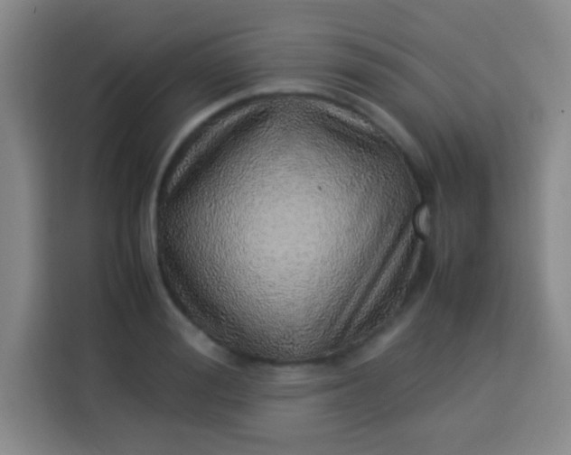 X0000113540988200910021346