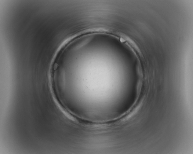 X0000113540989200910021346