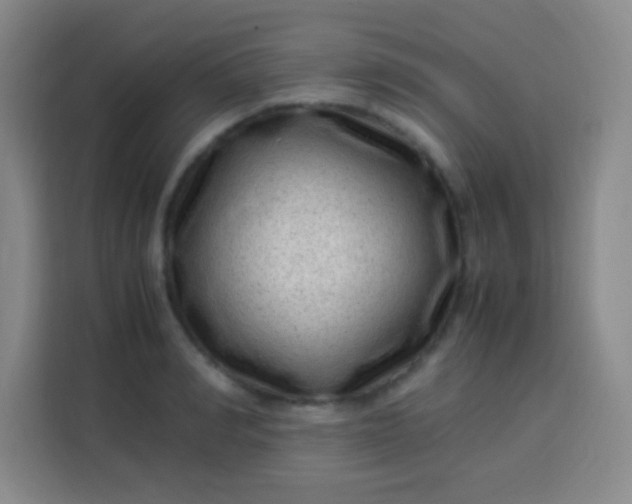 X0000113540990200910021346