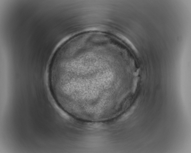 X0000113540991200910021346