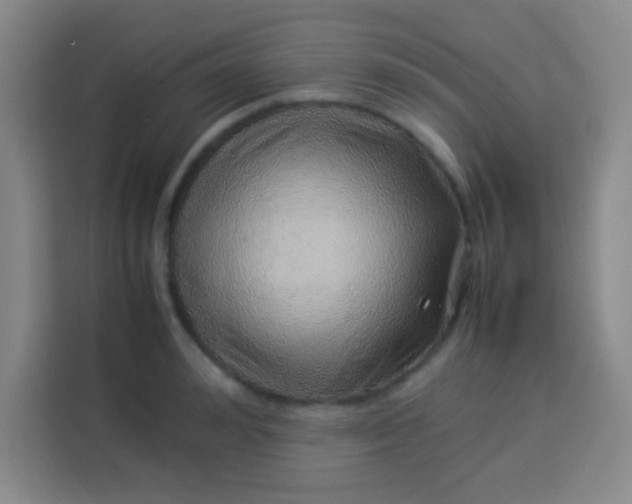 X0000113540992200910021346