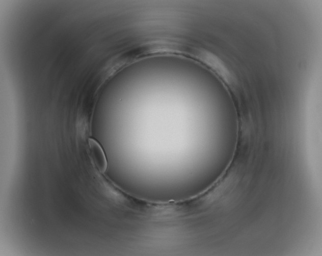 X0000113540993200910021346