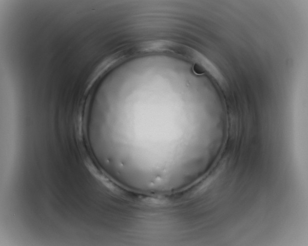 X0000113540994200910021346