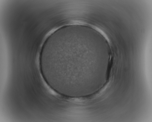 X0000113540995200910021346