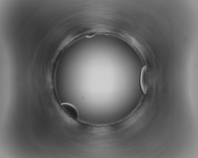 X0000113540997200910021346