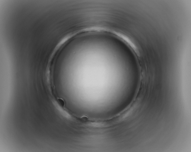 X0000113540998200910021346