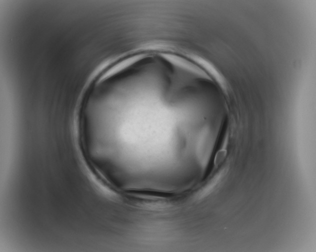 X0000113540999200910021346