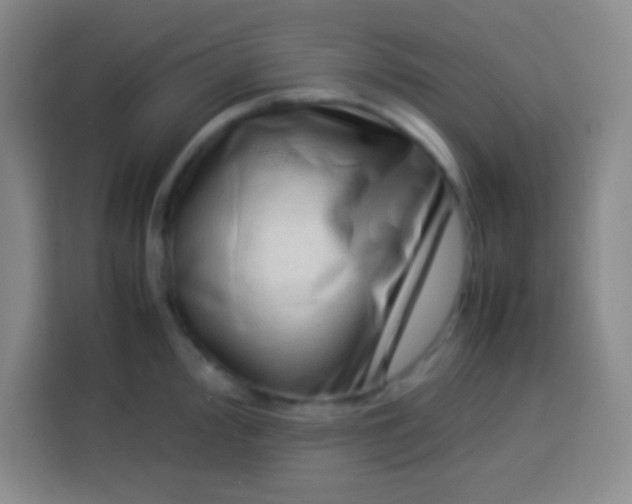 X0000113541000200910021346