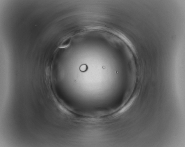 X0000113541001200910021346