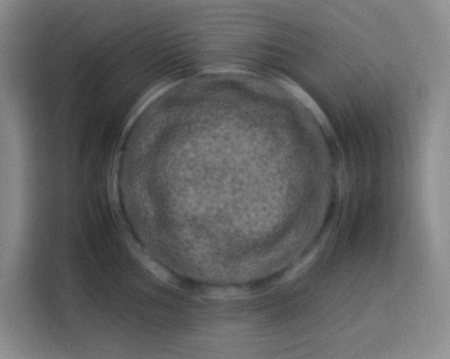 X0000113541002200910021346