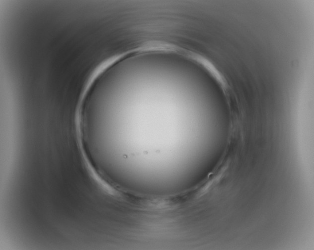 X0000113541003200910021346