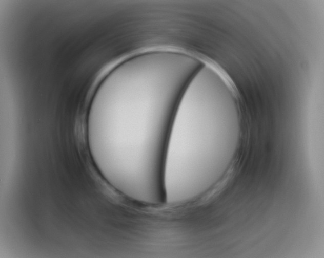 X0000113541004200910021346