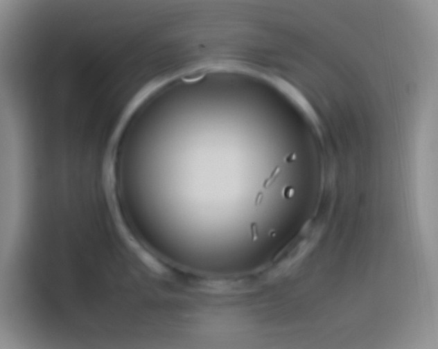 X0000113541005200910021346