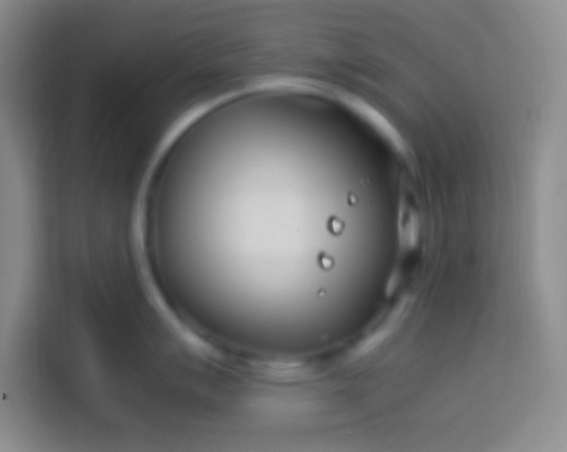 X0000113541007200910021346