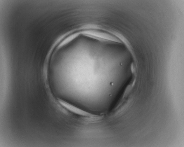 X0000113541008200910021346