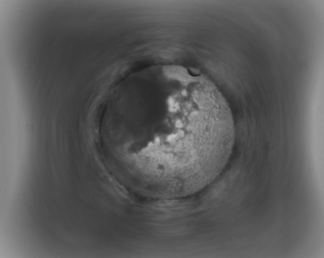 X0000113541009200910021345