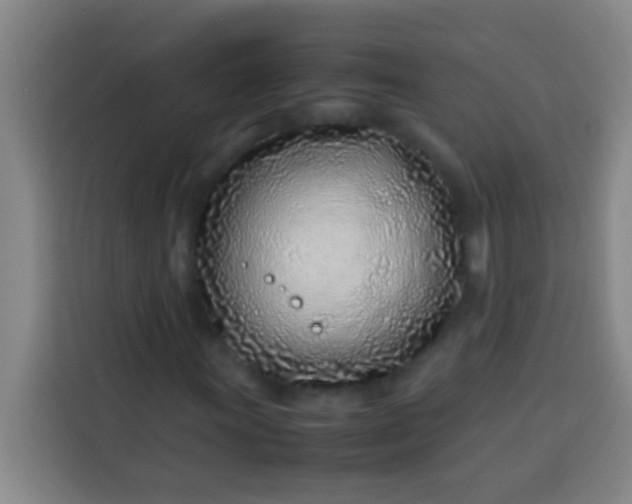 X0000113541011200910021345