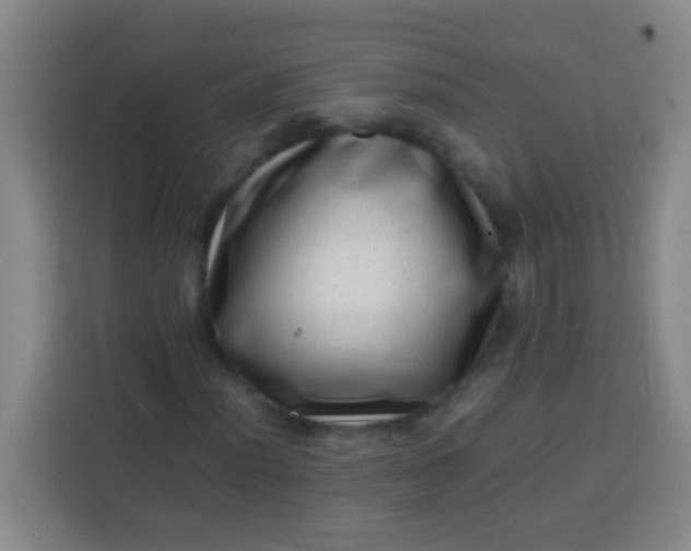 X0000113541012200910021345