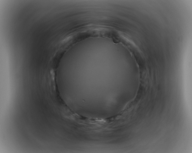 X0000113541013200910021345