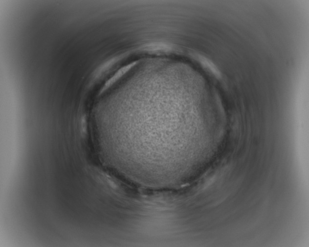 X0000113541016200910021345