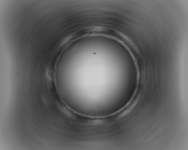 X0000113541017200910021345