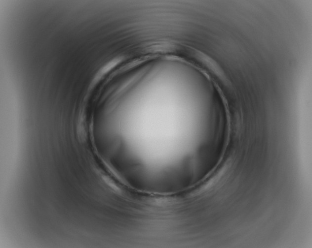 X0000113541018200910021345