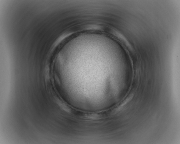 X0000113541019200910021345