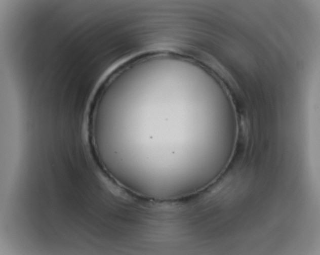 X0000113541020200910021345