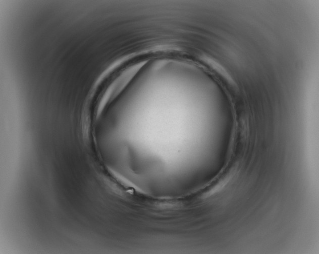 X0000113541021200910021345