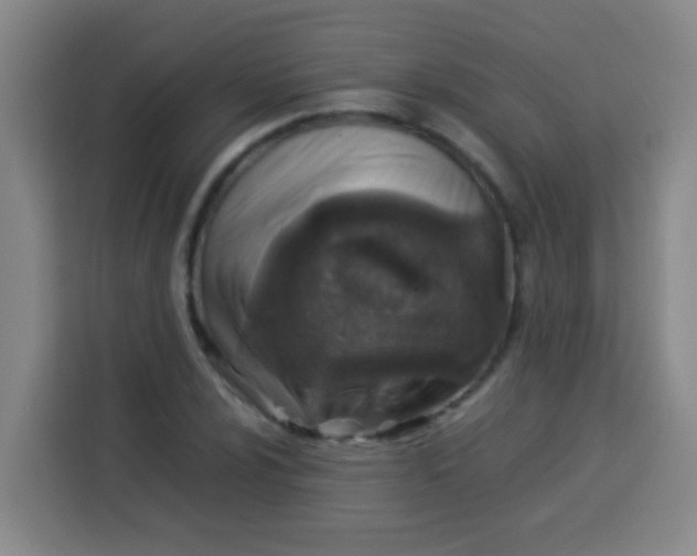 X0000113541024200910021345