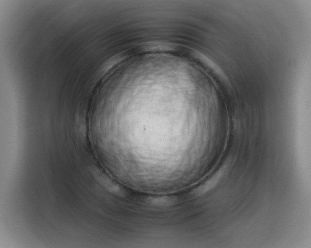 X0000113541025200910021345