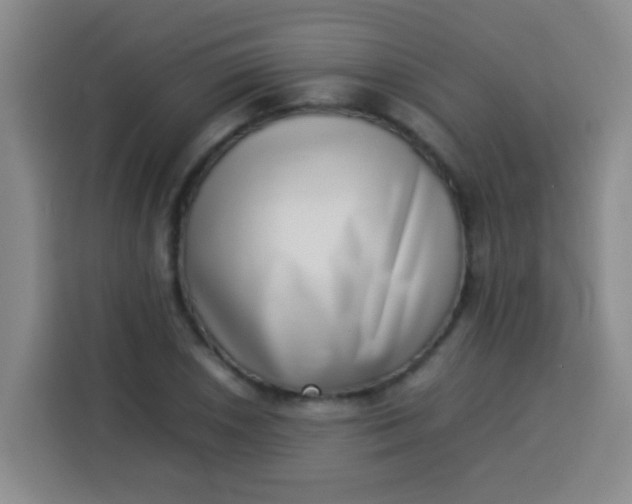 X0000113541026200910021345