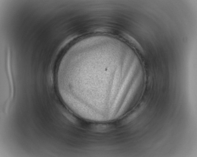 X0000113541027200910021345