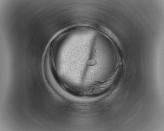 X0000113541028200910021345