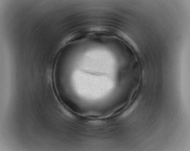 X0000113541033200910021345