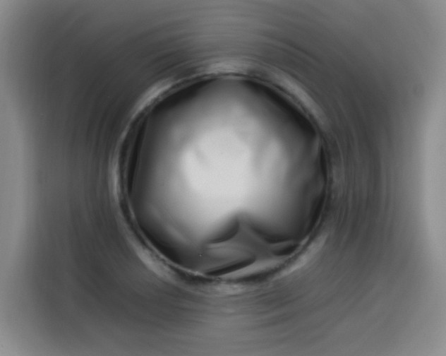 X0000113541034200910021345