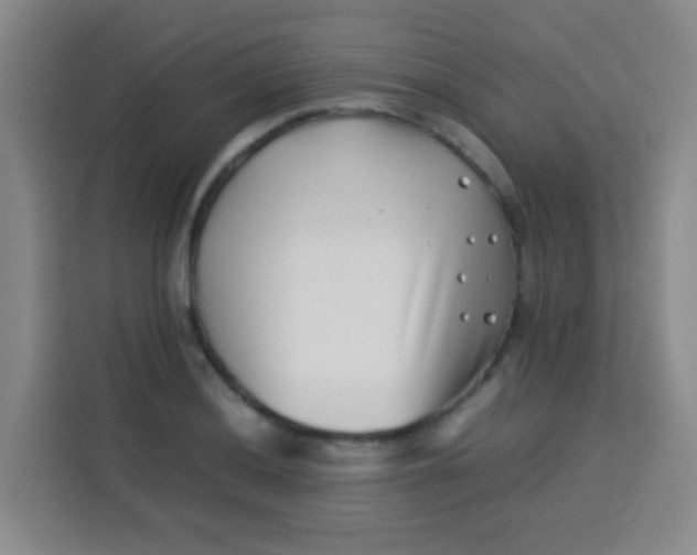 X0000113541036200910021345