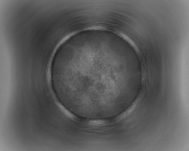 X0000113541037200910021345