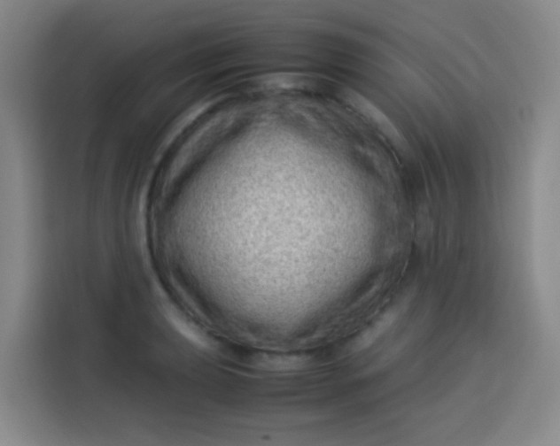 X0000113541039200910021345