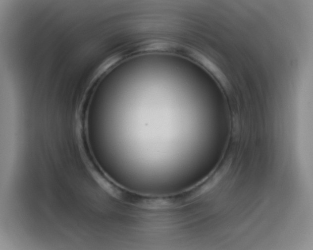 X0000113541042200910021345