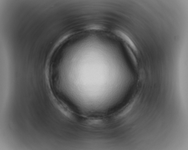 X0000113541043200910021345