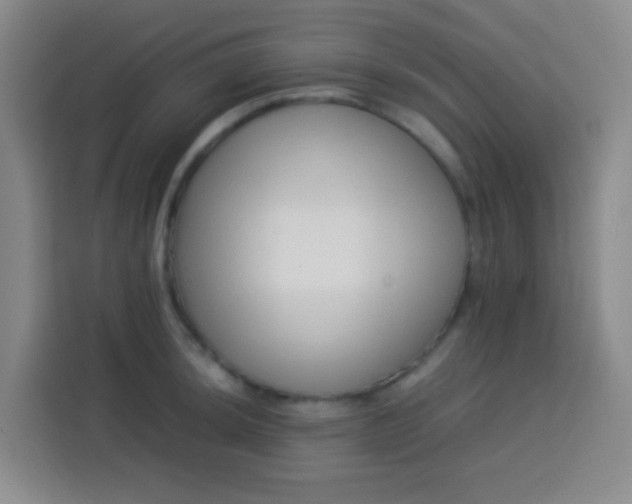 X0000113541044200910021345