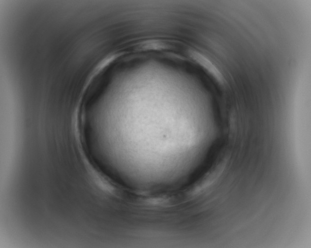 X0000113541047200910021345