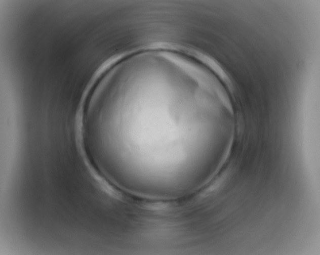 X0000113541048200910021345