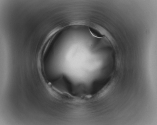 X0000113541050200910021345